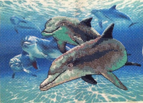 Морские дельфины, набор для вышивания