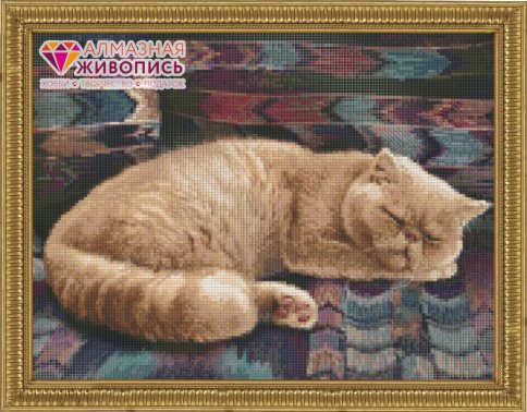 Персидский кот, алмазная мозаика