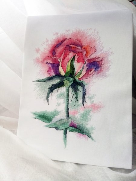 Акварельная роза, схема для вышивки 