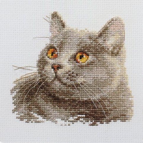 Британский кот, набор для вышивания