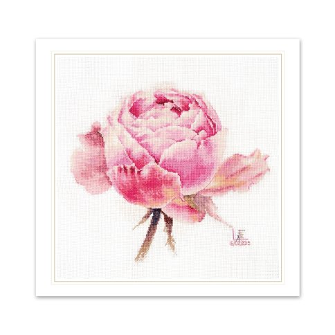 Акварельные розы. Розовая изысканная, набор для вышивания