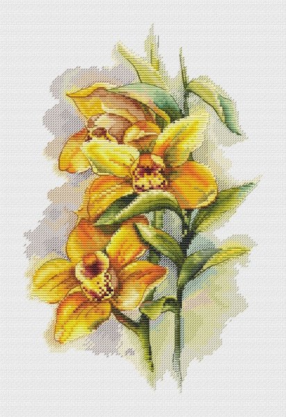 Солнечная орхидея, схема для вышивки