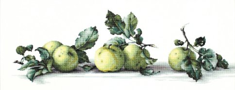Натюрморт с яблоками, набор для вышивания крестом