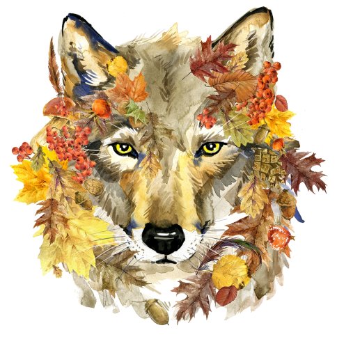 Осенний волк, набор для вышивания