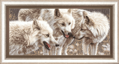 Белые волки, набор для вышивания
