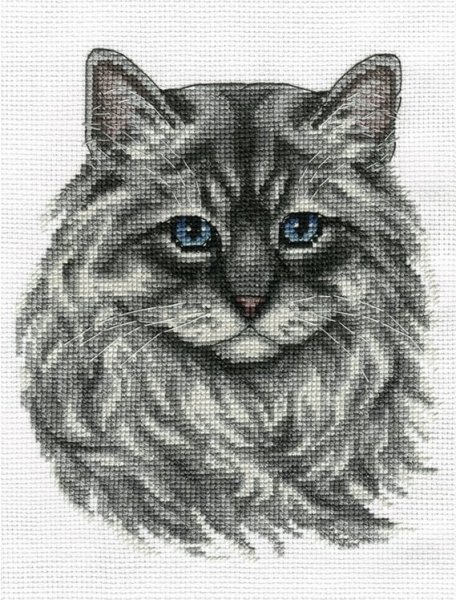 Невский маскарадный кот, набор для вышивания