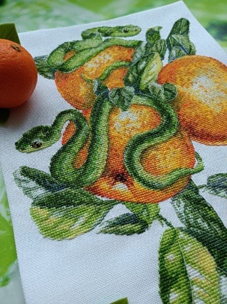 Змейки и мандаринки, схема для вышивания