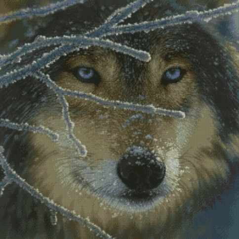  Голубоглазый волк, схема для вышивания