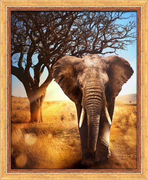 Африканский слон, алмазная мозаика