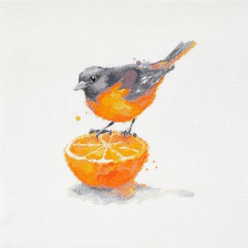 Птица и апельсин, схема для вышивки