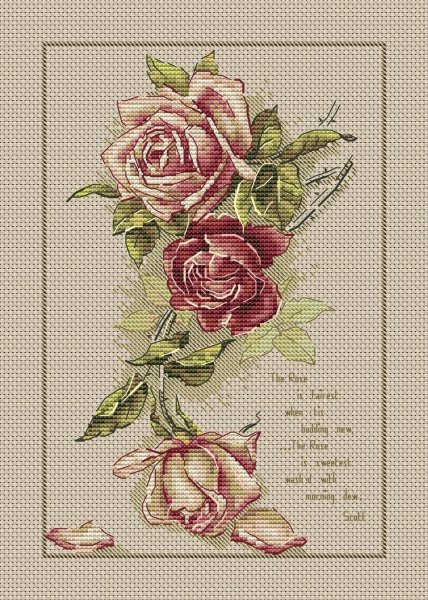 Винтажные розы, схема для вышивки крестом