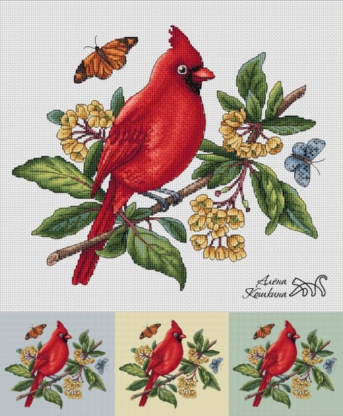 Красный (виргинский) кардинал, схема для вышивки