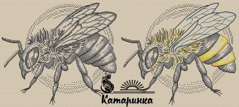 Пчела, схема для вышивки