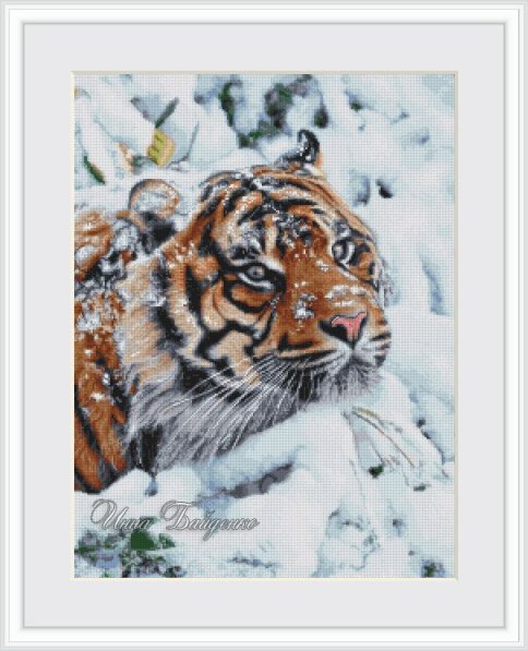 Тигр в снегу, схема для вышивки