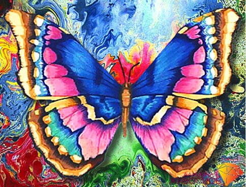 Рисунок бабочки, алмазная мозаика