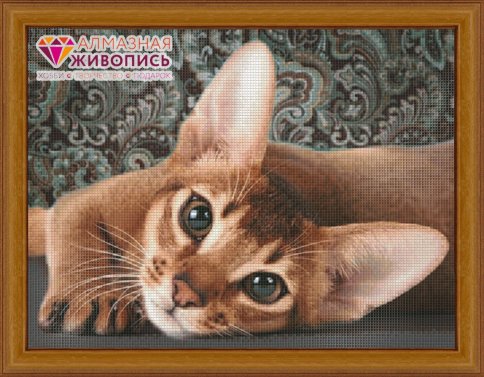 Абиссинская кошка, алмазная мозаика