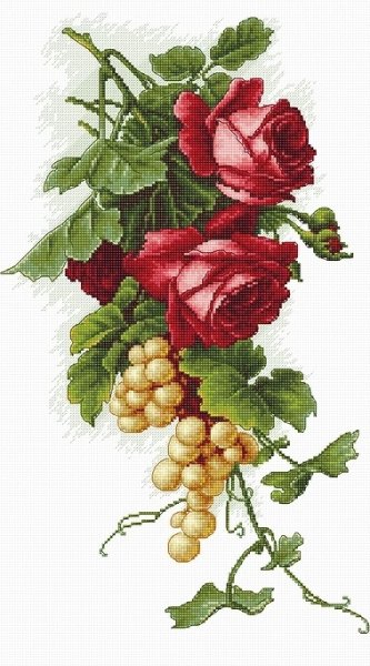 Красные розы с виноградом, набор для вышивания