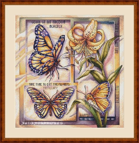 Мозаичные бабочки, схемы