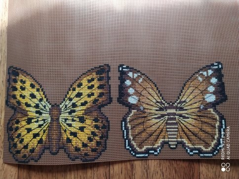 Бабочка Тигровая сильвия, схема для вышивки крестом