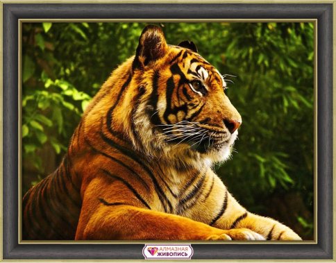 Золотой тигр, алмазная мозаика Алмазная живопись