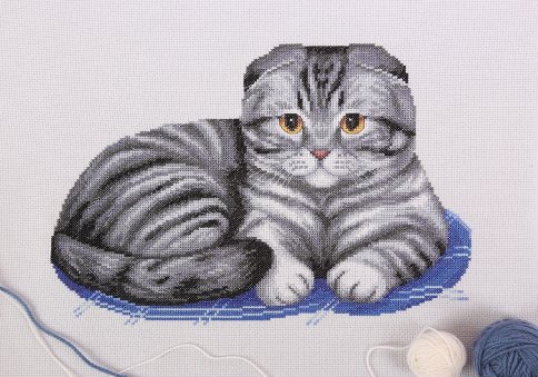 Шотландский вислоухий кот, набор для вышивания