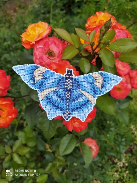 Бабочка Арлекин, схема для вышивки крестом