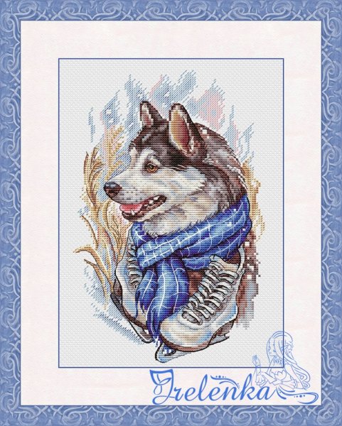Схема вышивки крестом Сибирский хаски - Siberian husky