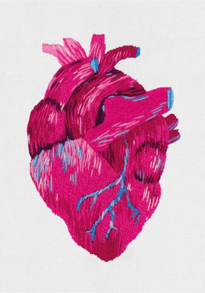 Анатомическое сердце, набор для вышивания