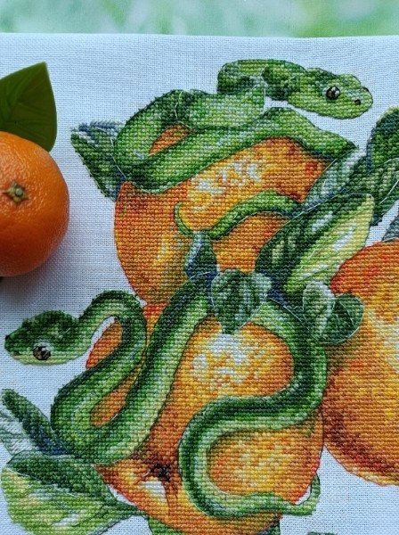 Змейки и мандаринки, схема для вышивания