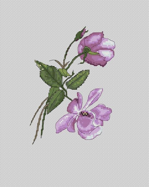 Лиловая роза, авторская схема для вышивки
