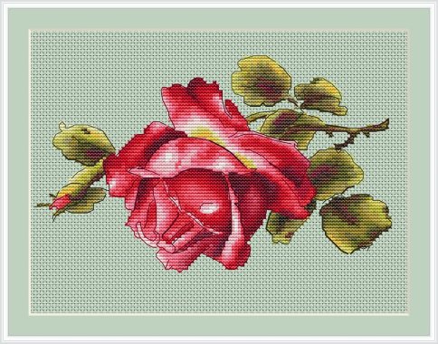Все оттенки розы: кармин, схема для вышивки