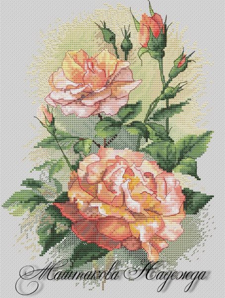 Чайные розы, схема для вышивки