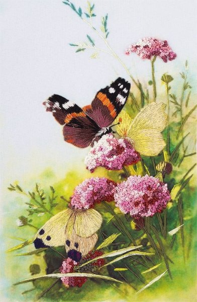 Бабочки, набор для вышивания Панна