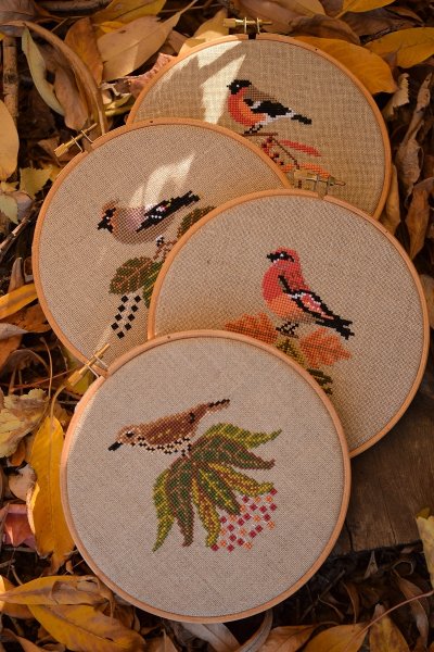 Птицы и ягоды, схема для вышивки