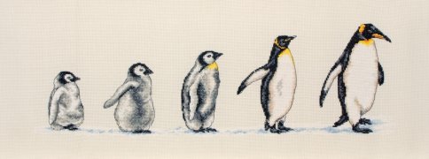 Пингвины в ряд, набор для вышивания