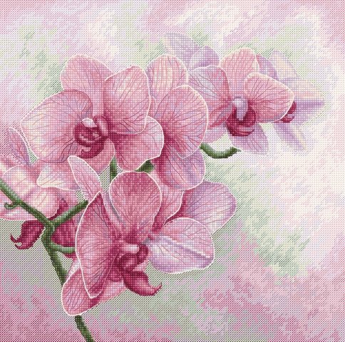 Изящные орхидеи, набор для вышивания