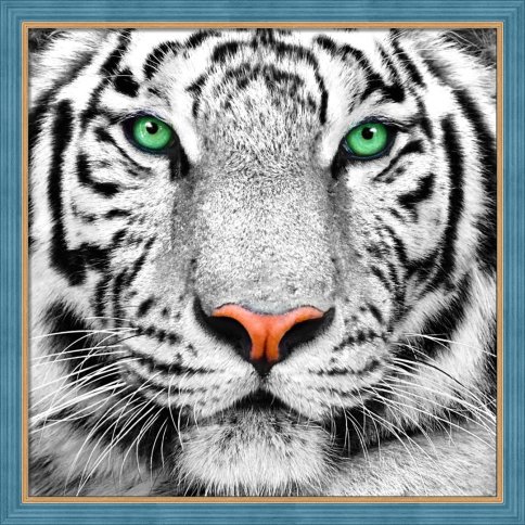Портрет белого тигра, алмазная мозаика
