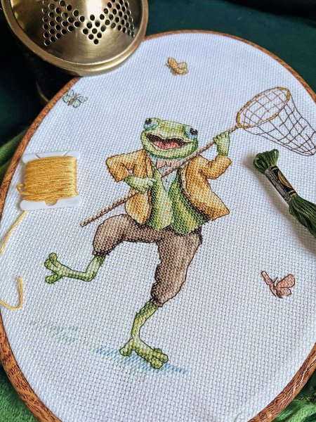 Мистер жаба, схема для вышивки