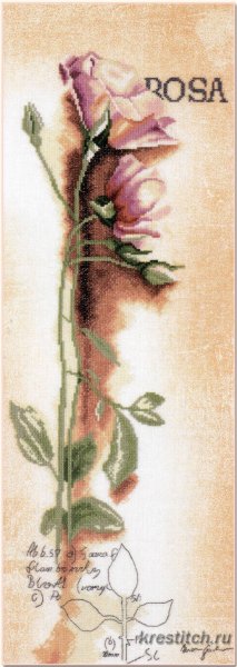 Роза "Botanical", набор для вышивания
