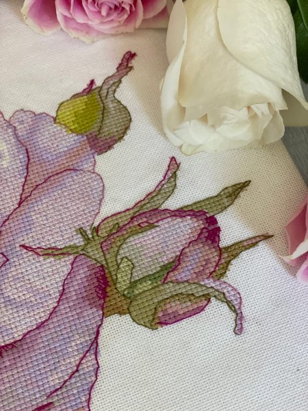 Акварельная роза, схема для вышивки