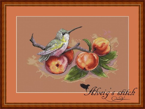 Яблочный колибри, схема для вышивки