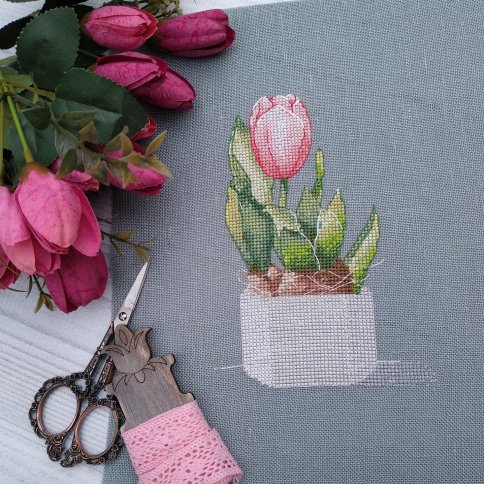 Розовый тюльпан, схема для вышивки