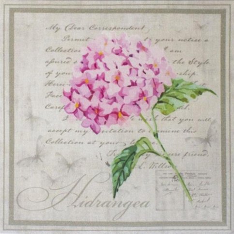 Купон с рисунком "Гортензия розовая в рамке"