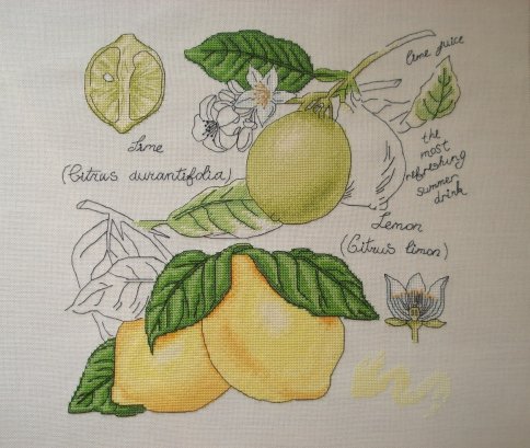 Ботаника. Лимон, схема для вышивания