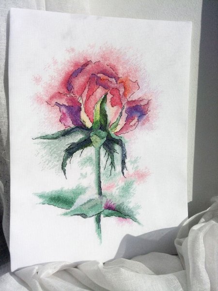Акварельная роза, схема для вышивки 