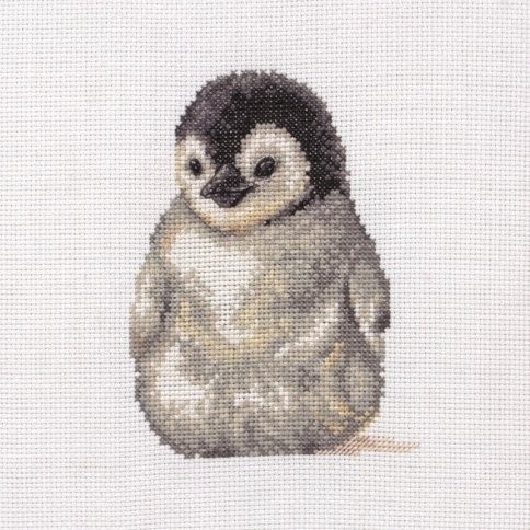 свободно пингвин, рисунок, маленький пингвин прозрачное изображение
