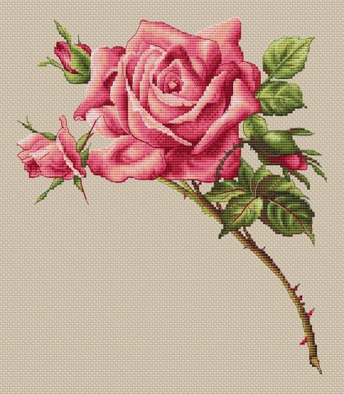 Ветка розы, схема для вышивки