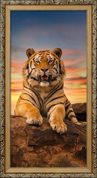 Довольный тигр, алмазная мозаика