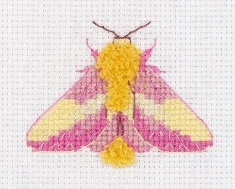 Кленовая бабочка, набор для вышивания