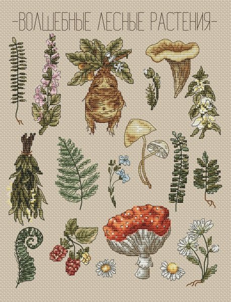 Волшебные лесные растения, схема для вышивки